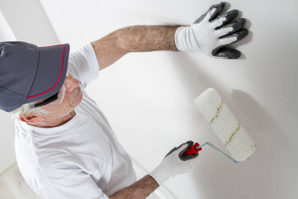 Best Air Quality Testing for Mold Spores  in Lindstrom, MN