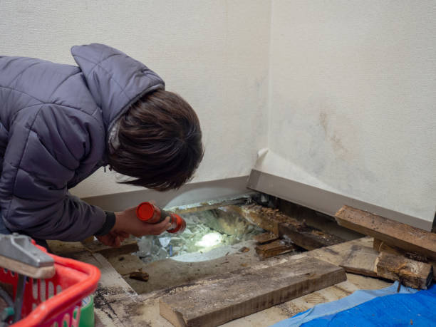Best Post-Construction Mold Inspection  in Lindstrom, MN