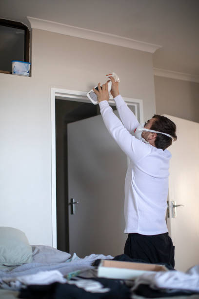 Best HVAC Mold Inspection and Cleaning  in Lindstrom, MN