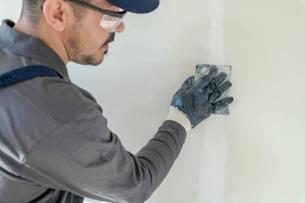 Reliable Lindstrom, MN Mold Removal Solutions
