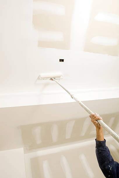 Best Biohazard Mold Removal  in Lindstrom, MN