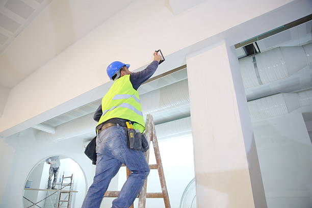 Best Mold Prevention Services  in Lindstrom, MN