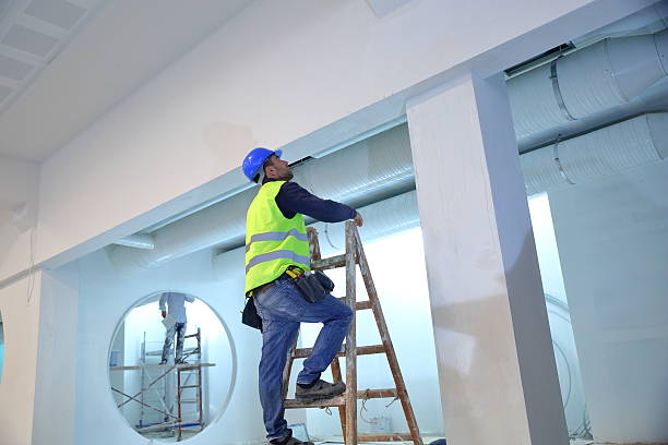 Best Commercial Mold Inspection  in Lindstrom, MN
