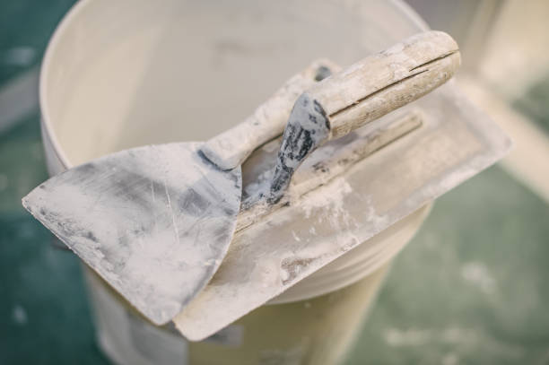 Best Real Estate Mold Inspection  in Lindstrom, MN